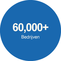 dutch-businesses.png